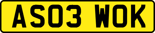 AS03WOK