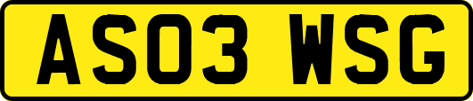 AS03WSG