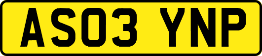 AS03YNP