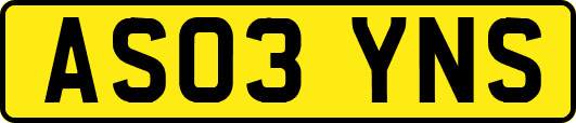 AS03YNS