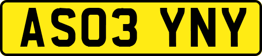 AS03YNY