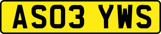 AS03YWS