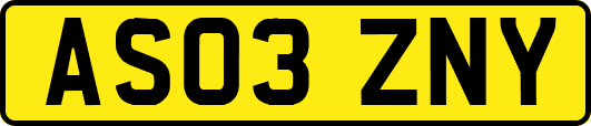 AS03ZNY