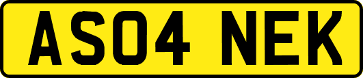 AS04NEK