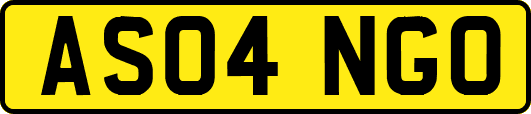 AS04NGO