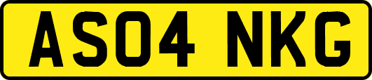 AS04NKG