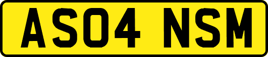 AS04NSM