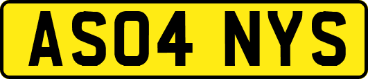 AS04NYS
