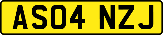 AS04NZJ