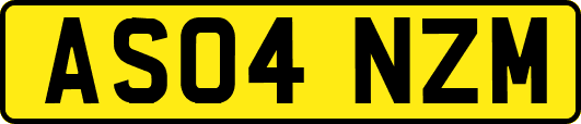 AS04NZM