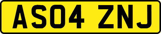 AS04ZNJ
