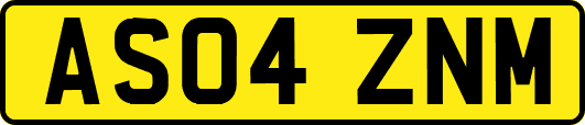 AS04ZNM