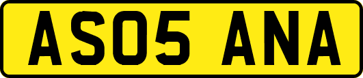 AS05ANA