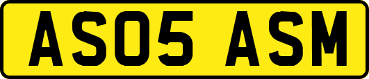 AS05ASM