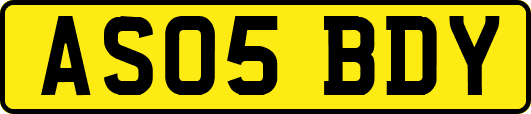 AS05BDY
