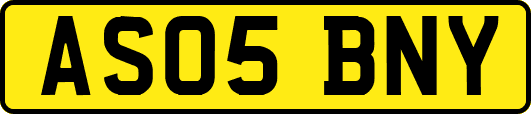 AS05BNY