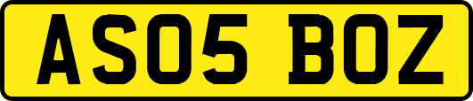 AS05BOZ