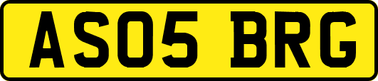 AS05BRG