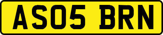 AS05BRN
