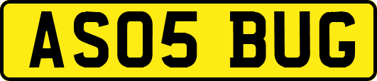 AS05BUG
