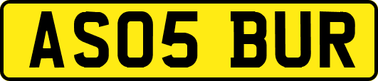 AS05BUR