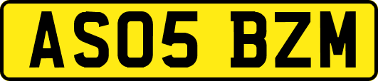 AS05BZM