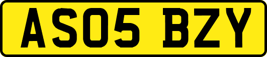 AS05BZY