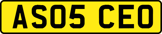AS05CEO