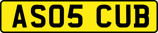 AS05CUB