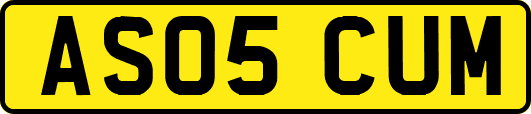 AS05CUM