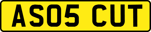 AS05CUT