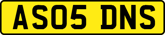AS05DNS
