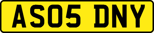 AS05DNY