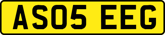 AS05EEG