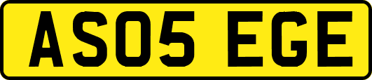 AS05EGE