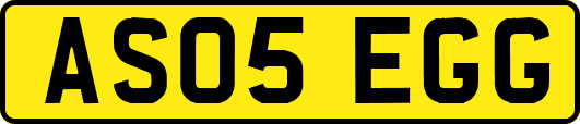 AS05EGG