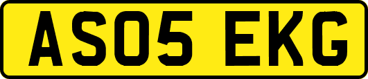 AS05EKG