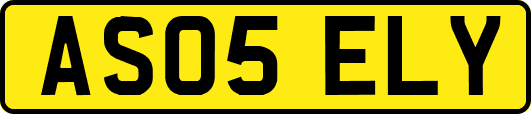 AS05ELY