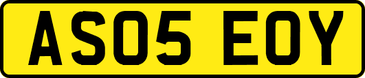 AS05EOY