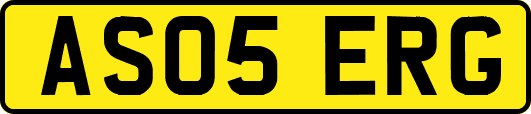 AS05ERG