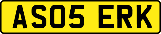 AS05ERK