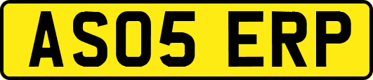 AS05ERP