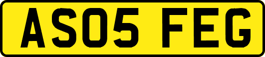 AS05FEG