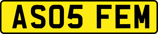 AS05FEM