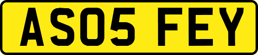 AS05FEY