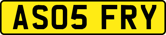 AS05FRY