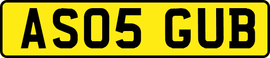 AS05GUB