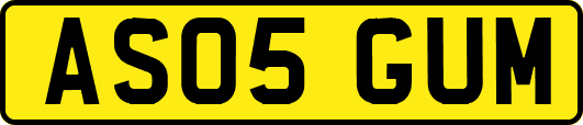 AS05GUM
