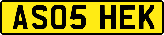 AS05HEK
