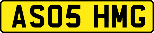 AS05HMG